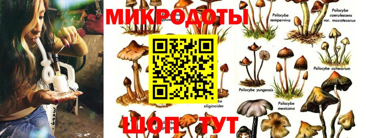 Галлюциногенные грибы прущие грибы  цена   Вход с VPN  Алексин  Псилоцибиновые грибы GOLDEN TEACHER 